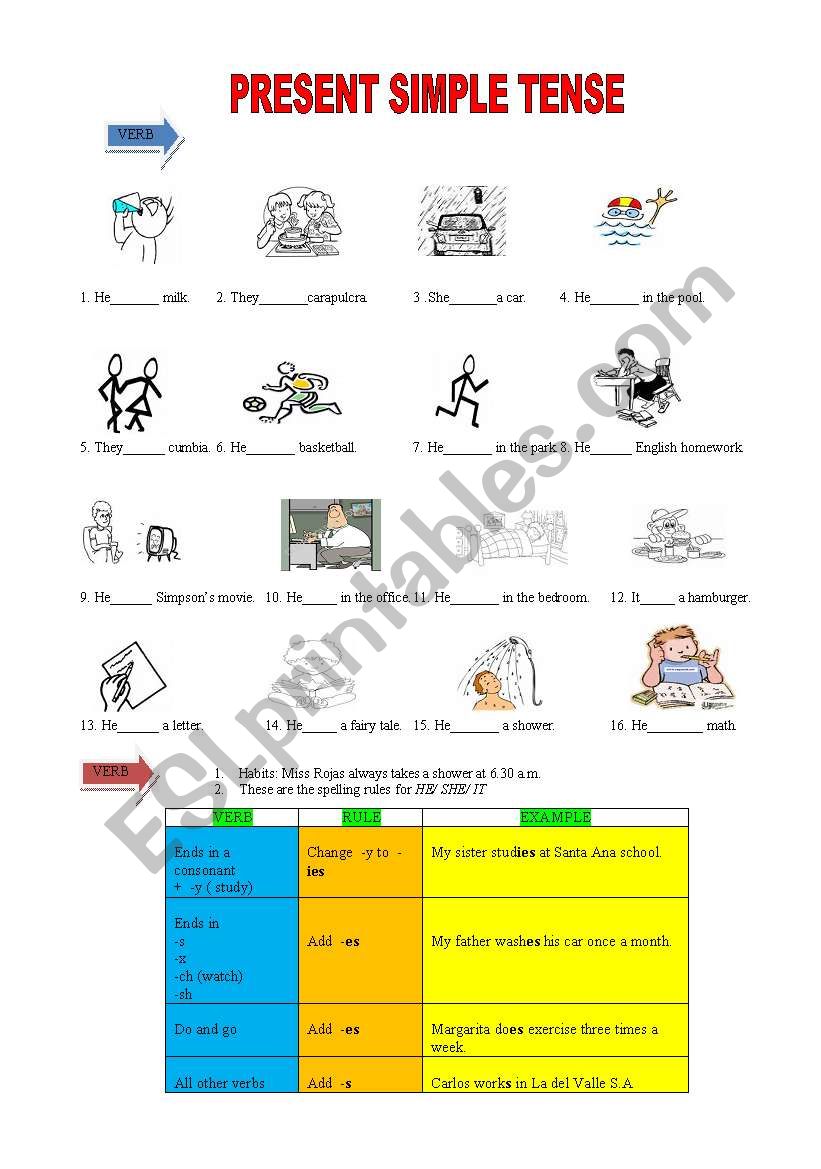 Present Simple exercises worksheet