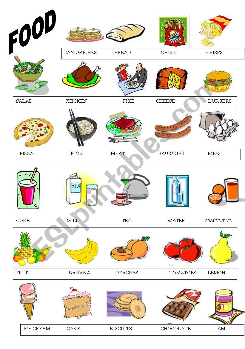 food vocabulary worksheet