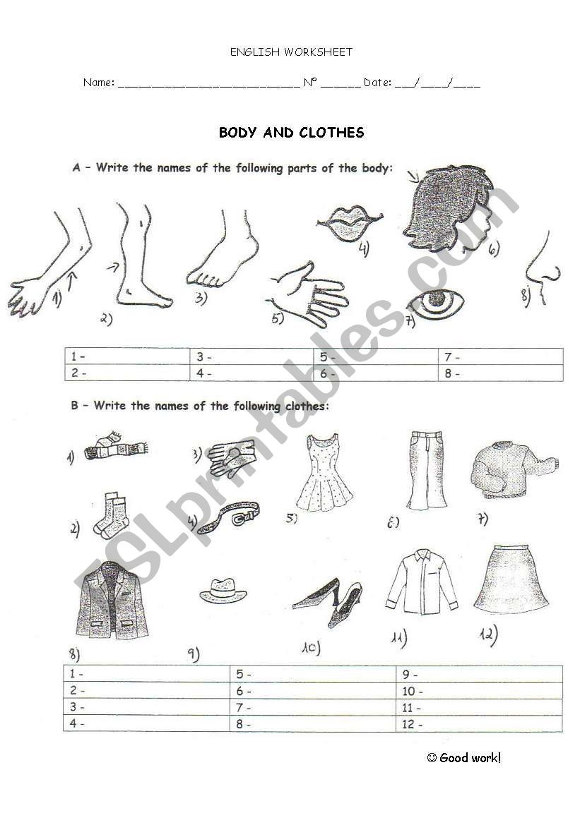 Body and clothes worksheet