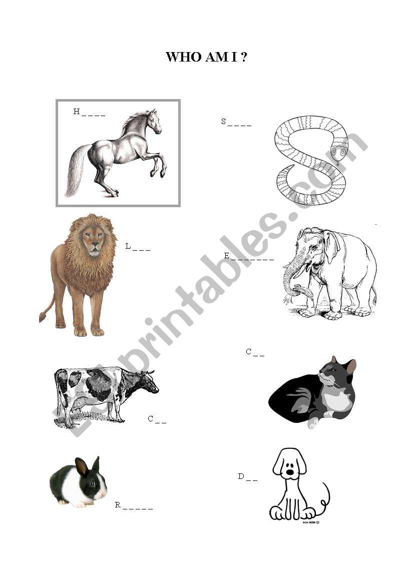 Animals worksheet worksheet