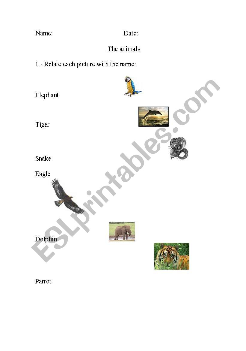 THE ANIMALS worksheet