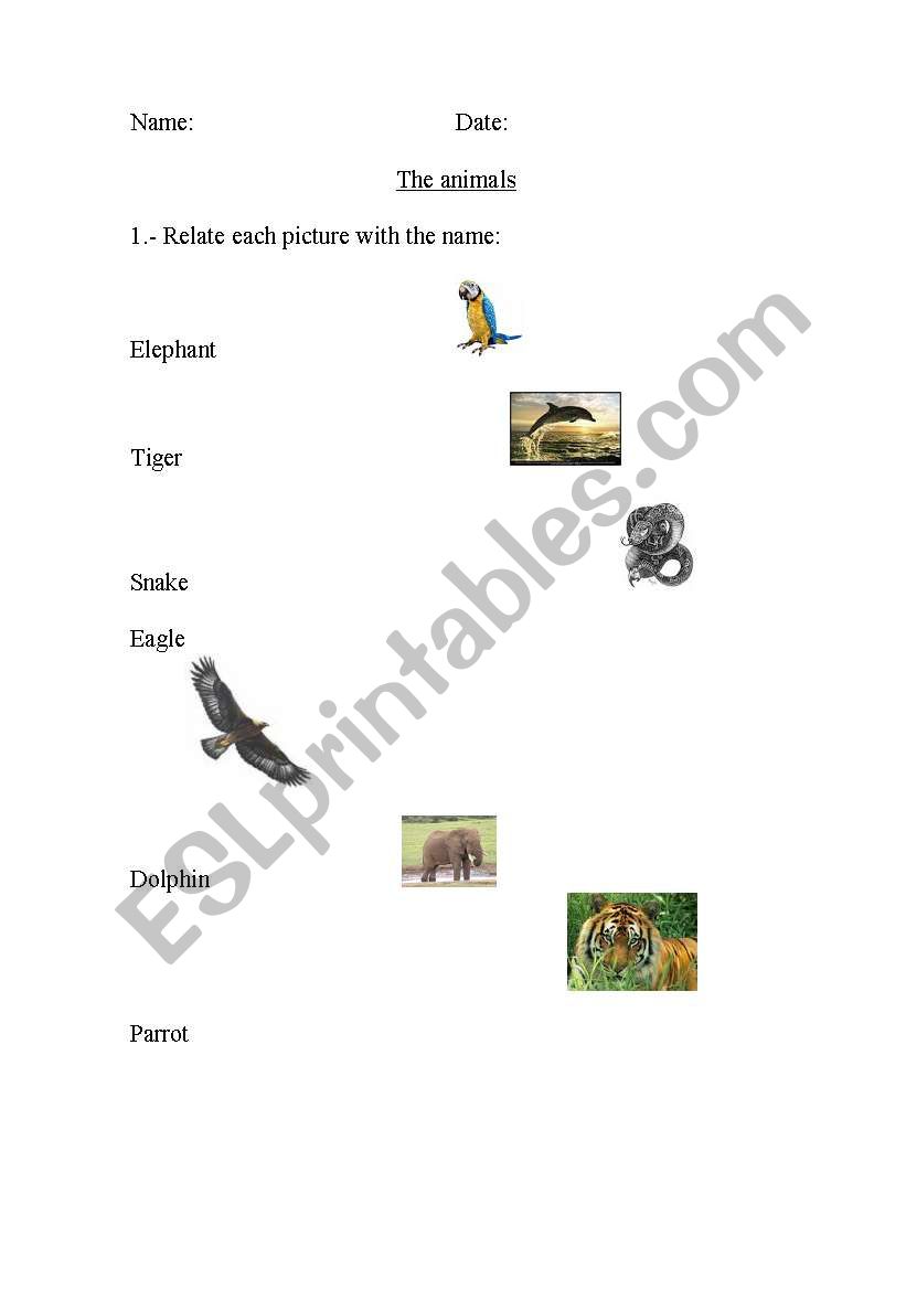 THE ANIMALS worksheet