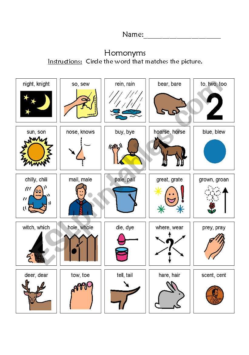 Homonyms worksheet