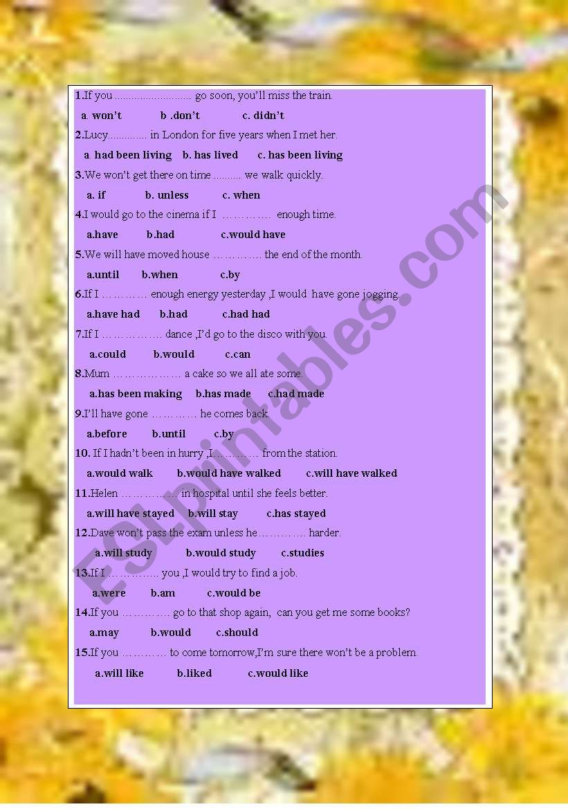 CONDITIONALS TEST  worksheet