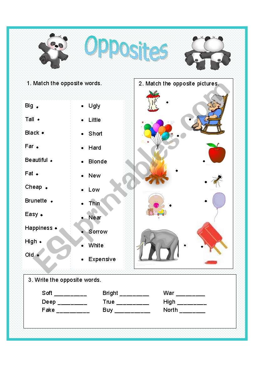 opposites worksheet