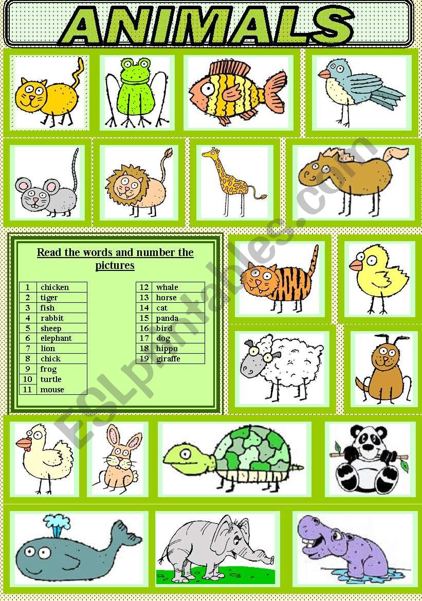 ANIMALS VOCABULARY worksheet