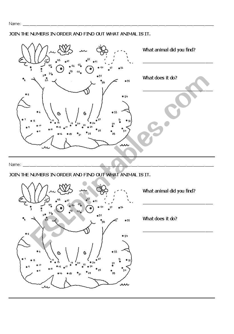 ANIMALS worksheet