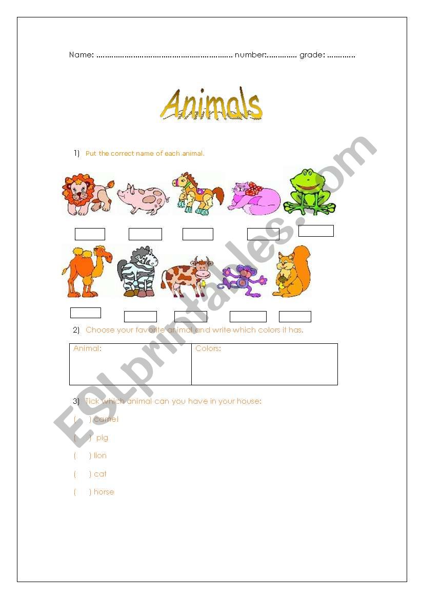 Animals worksheet worksheet