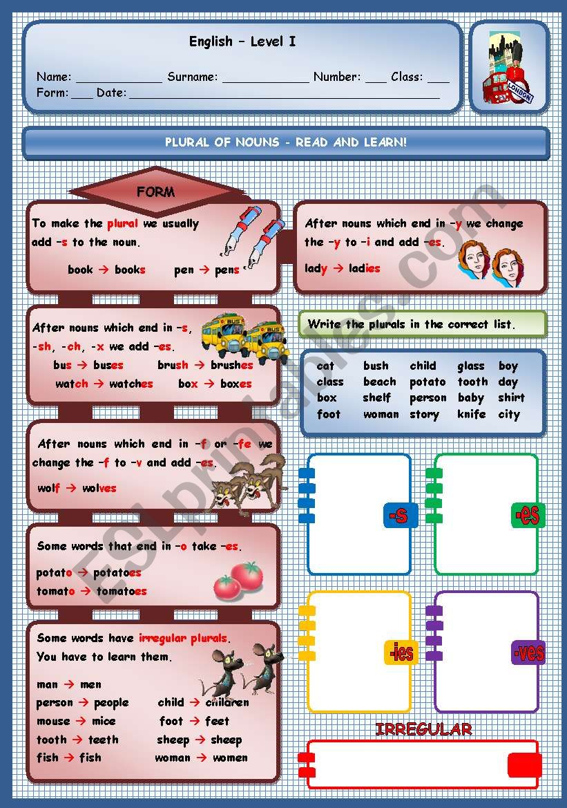 PLURAL OF NOUNS worksheet