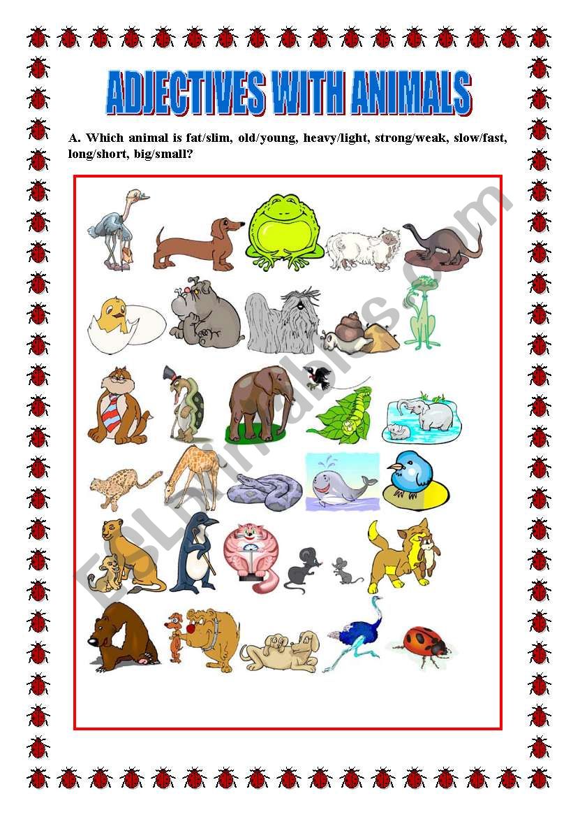 Adjectives with animals - ESL worksheet by veronika74
