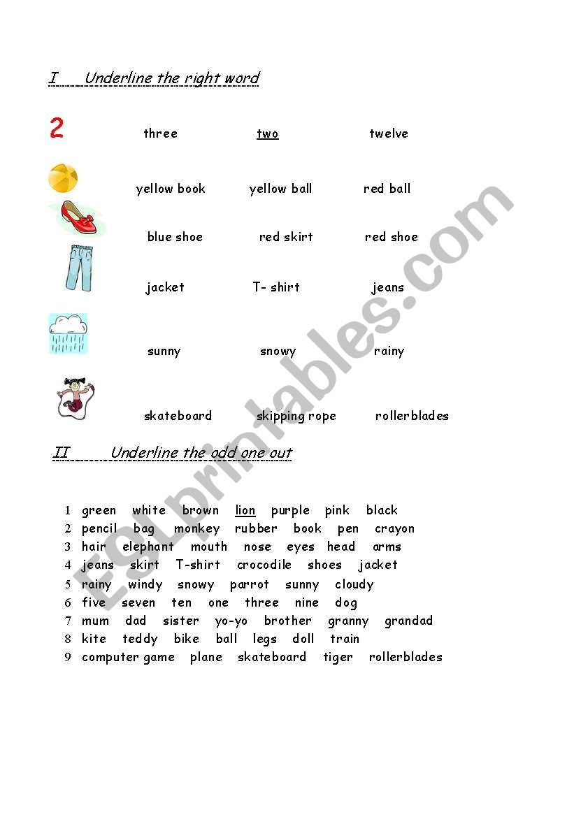 spelling and vocabulary worksheet