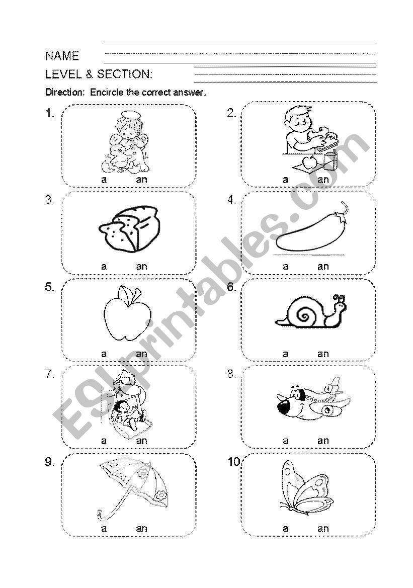 article a and an worksheet