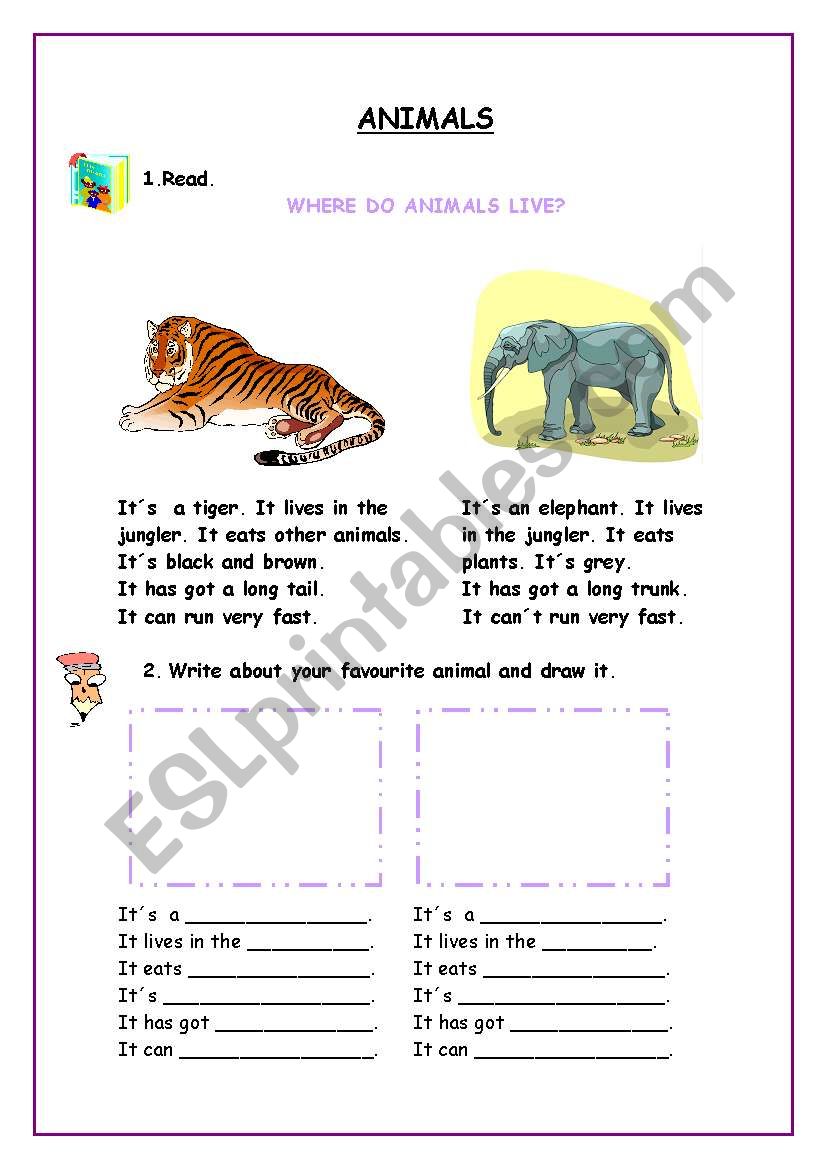 animals worksheet