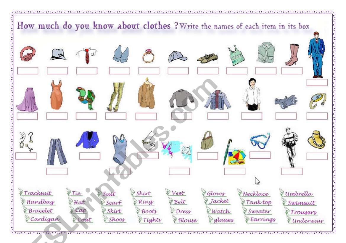 Clothes worksheet