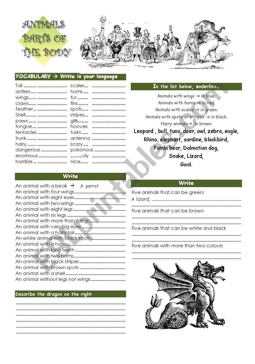 PARTS OF THE BODY - ANIMALS worksheet