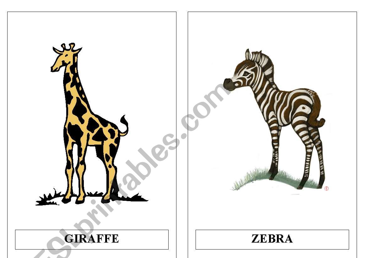 Animal flashcards II worksheet