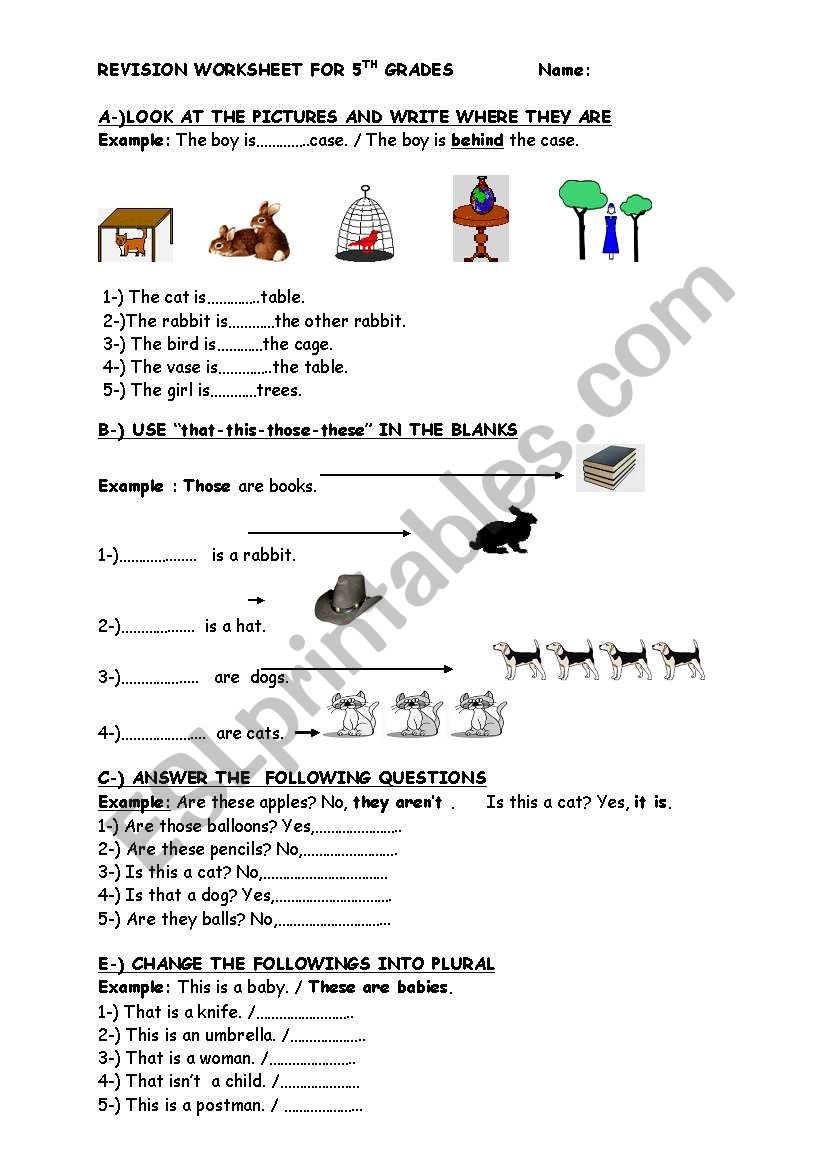 PREPOSITIONS   THIS-THESE/THAT-THOSE