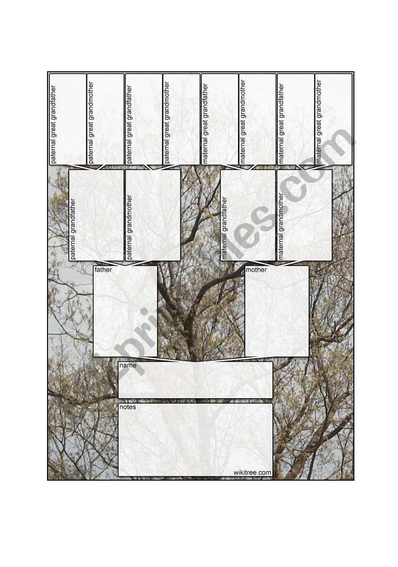 GENEALOGY TREE worksheet