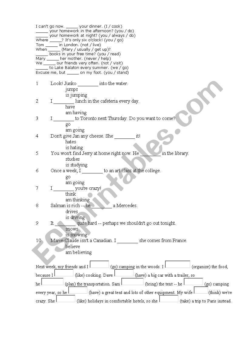 present simple tense exercise worksheet