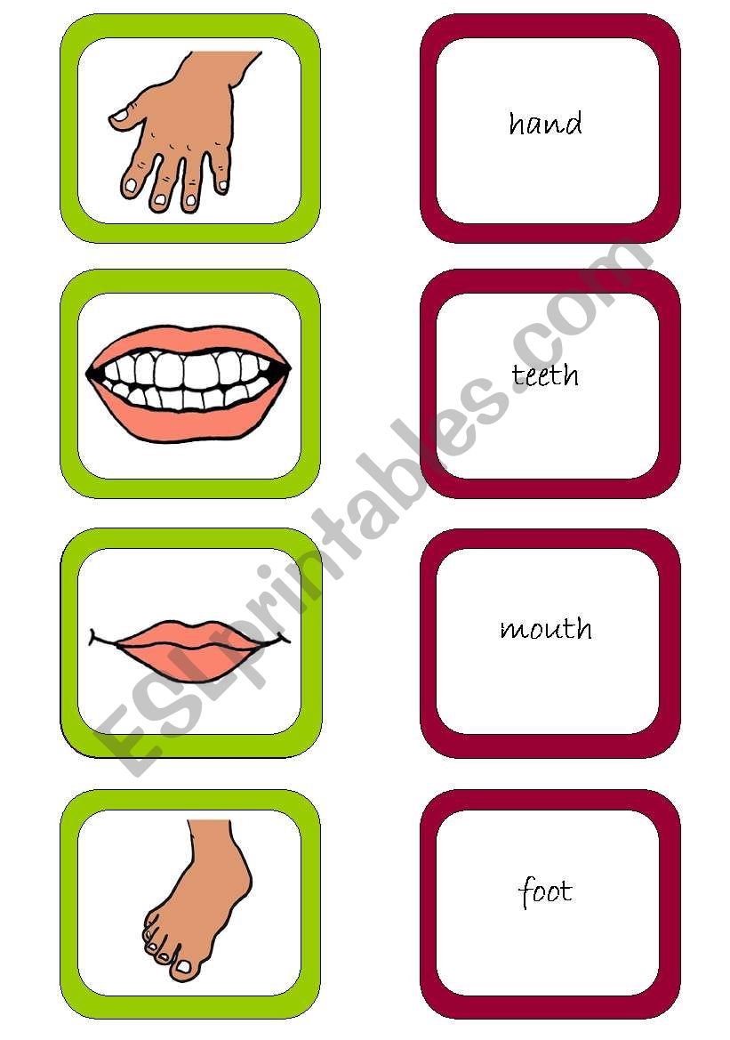 Memory card game (2/3) worksheet