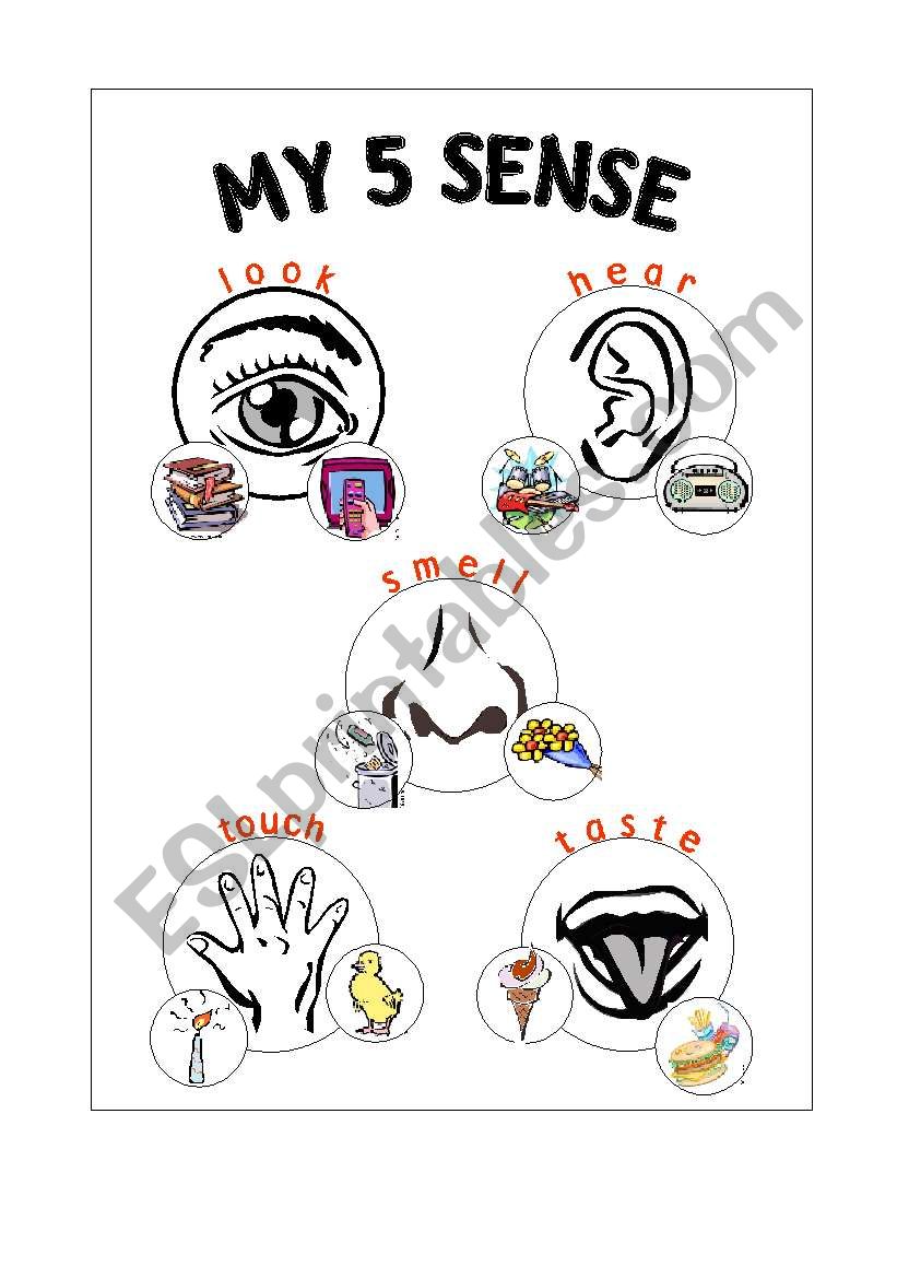 My 5 Sense worksheet