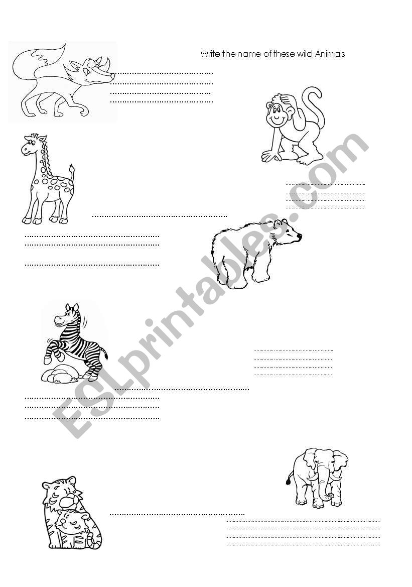 Name the wild Animals worksheet