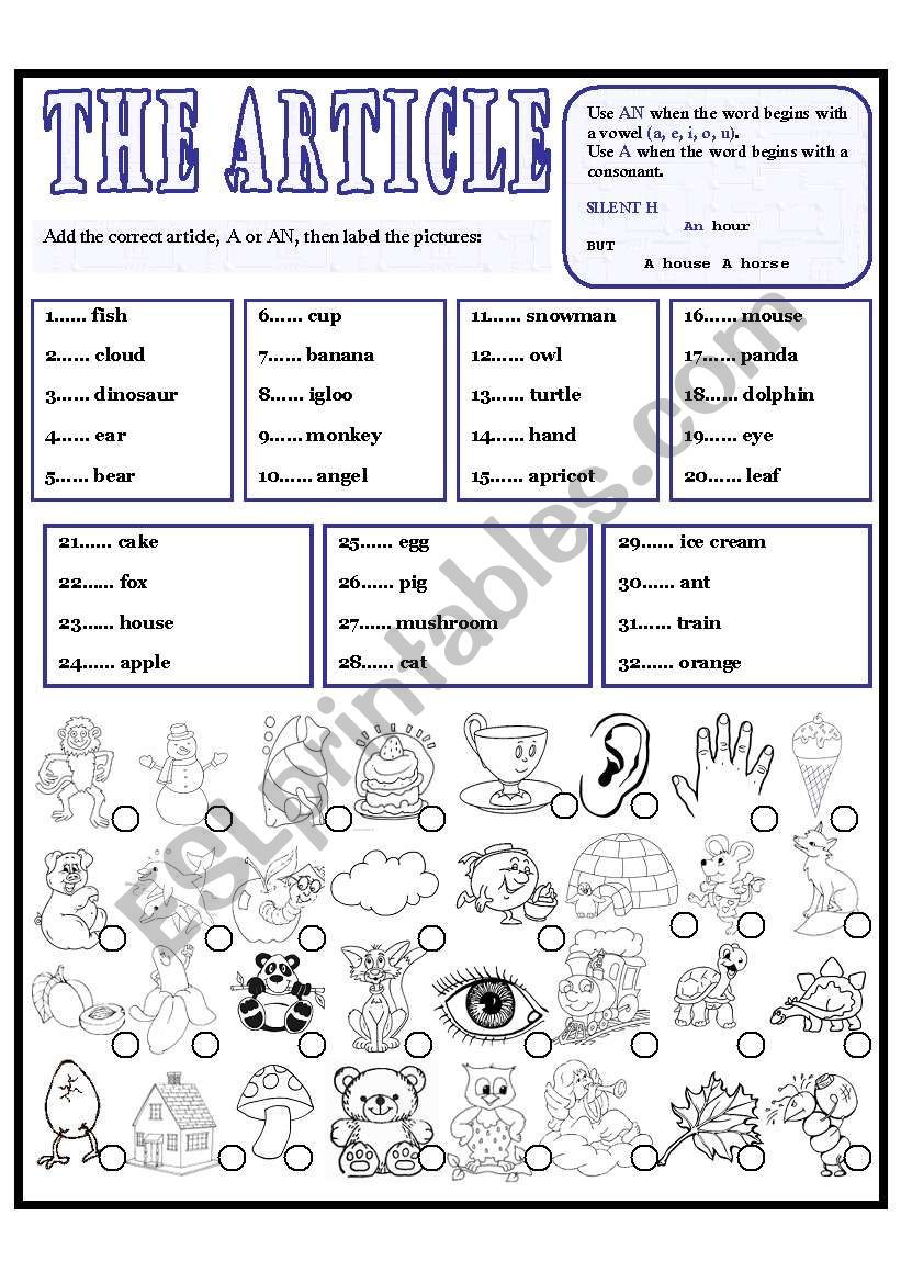 THE ARTICLE worksheet