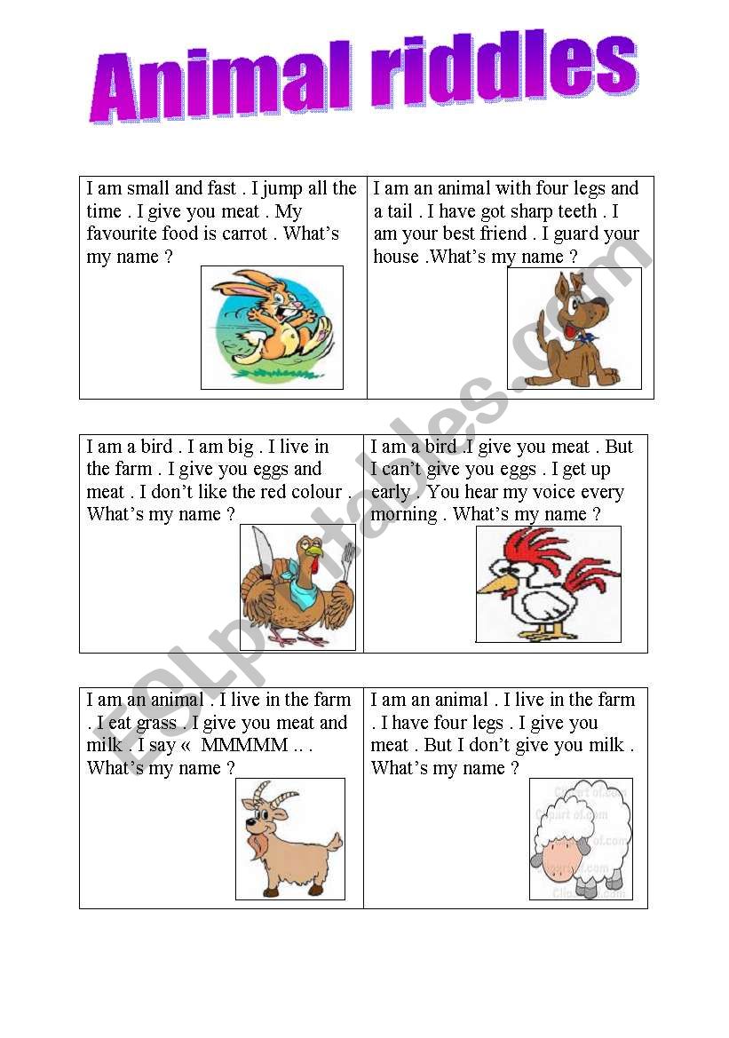 Animal riddles 2 worksheet