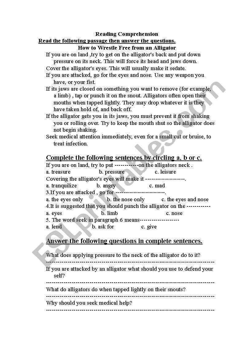 level test for pilots worksheet