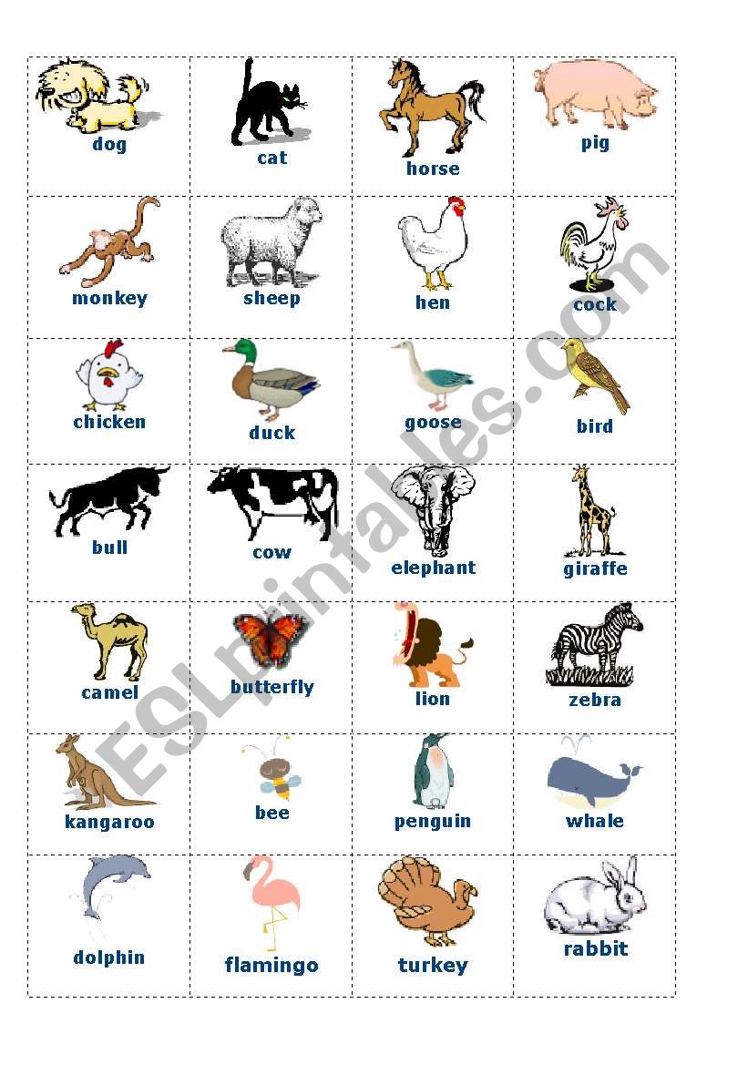 Animal cards worksheet