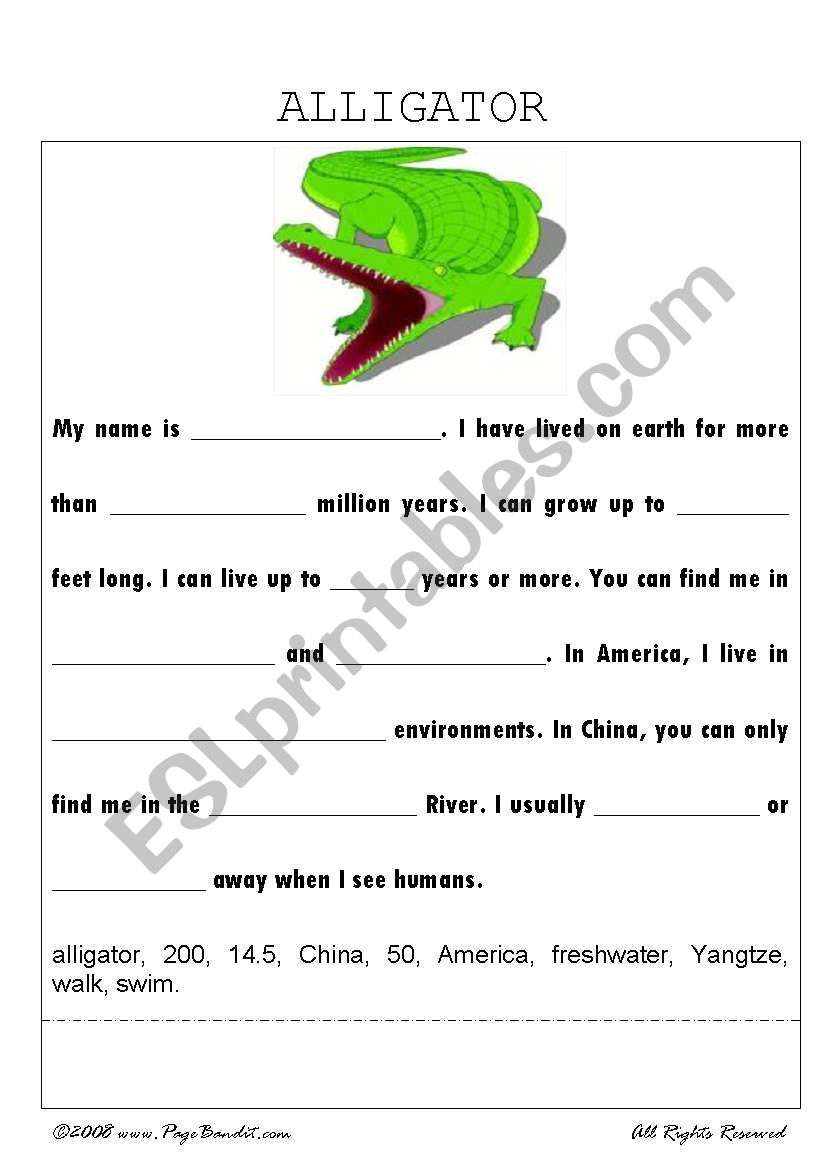 Alligator worksheet
