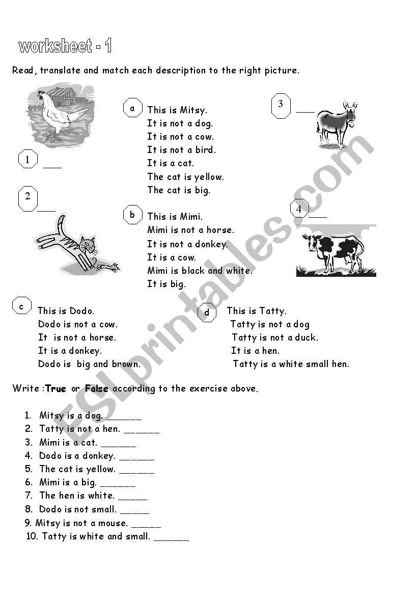 Read & match  worksheet