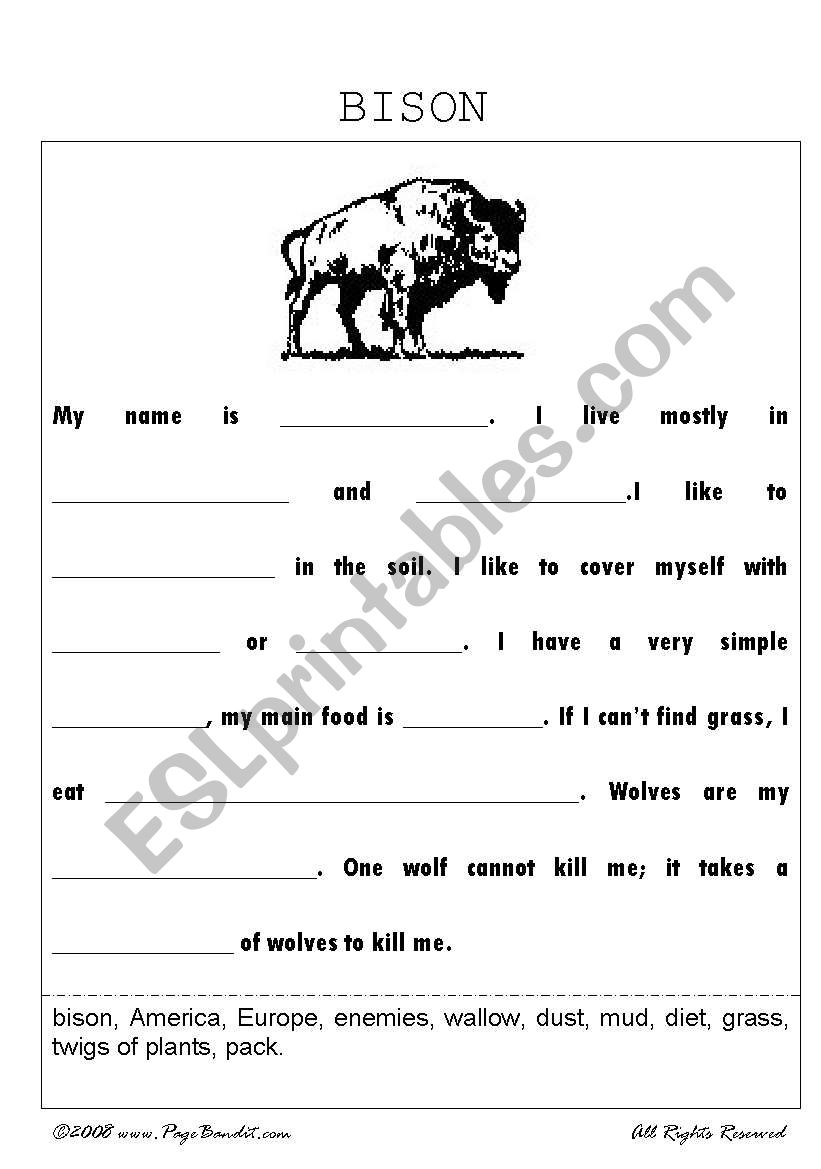 Bison worksheet