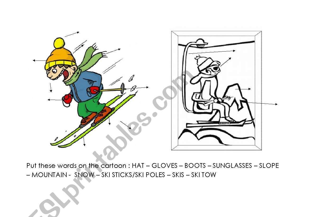 ski vocabulary worksheet