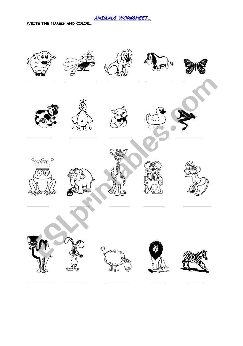 ANIMALS worksheet