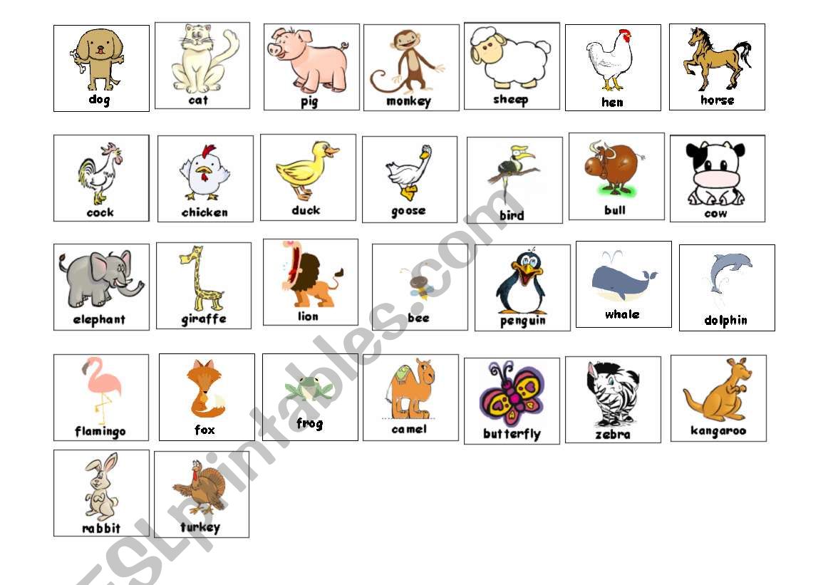 mini-flashcards worksheet