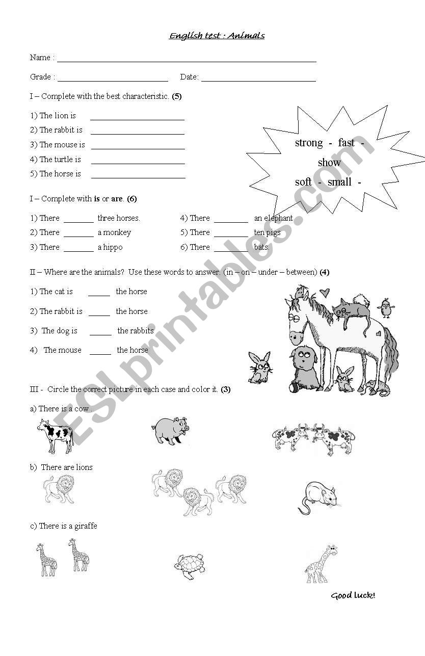 Animals worksheet