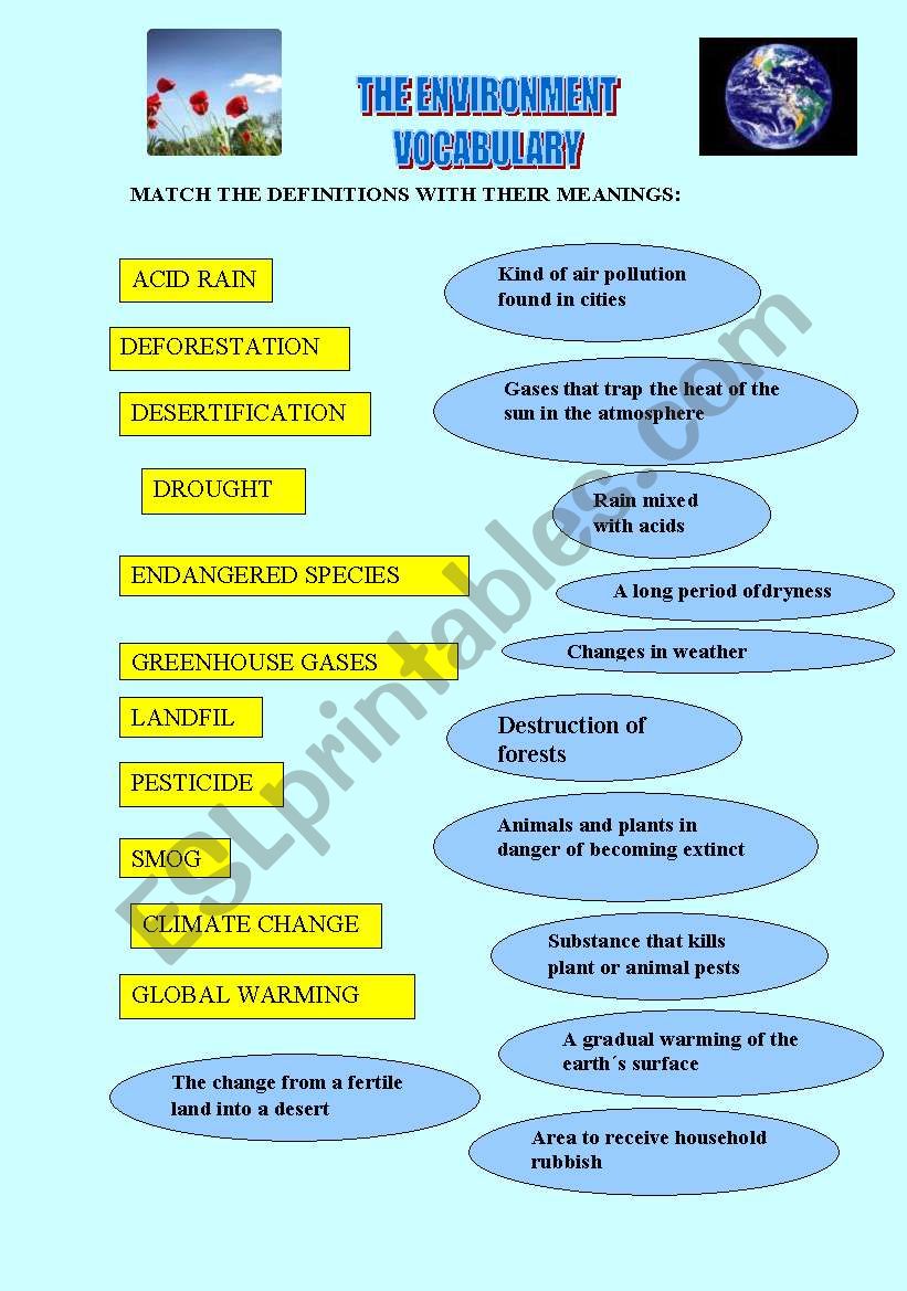 THE ENVIRONMENT worksheet