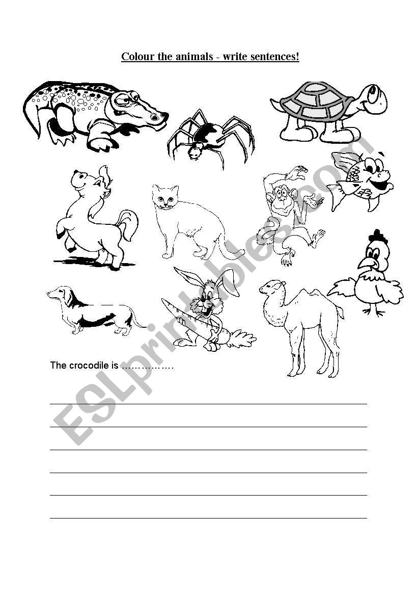 Colour the animals and write sentences