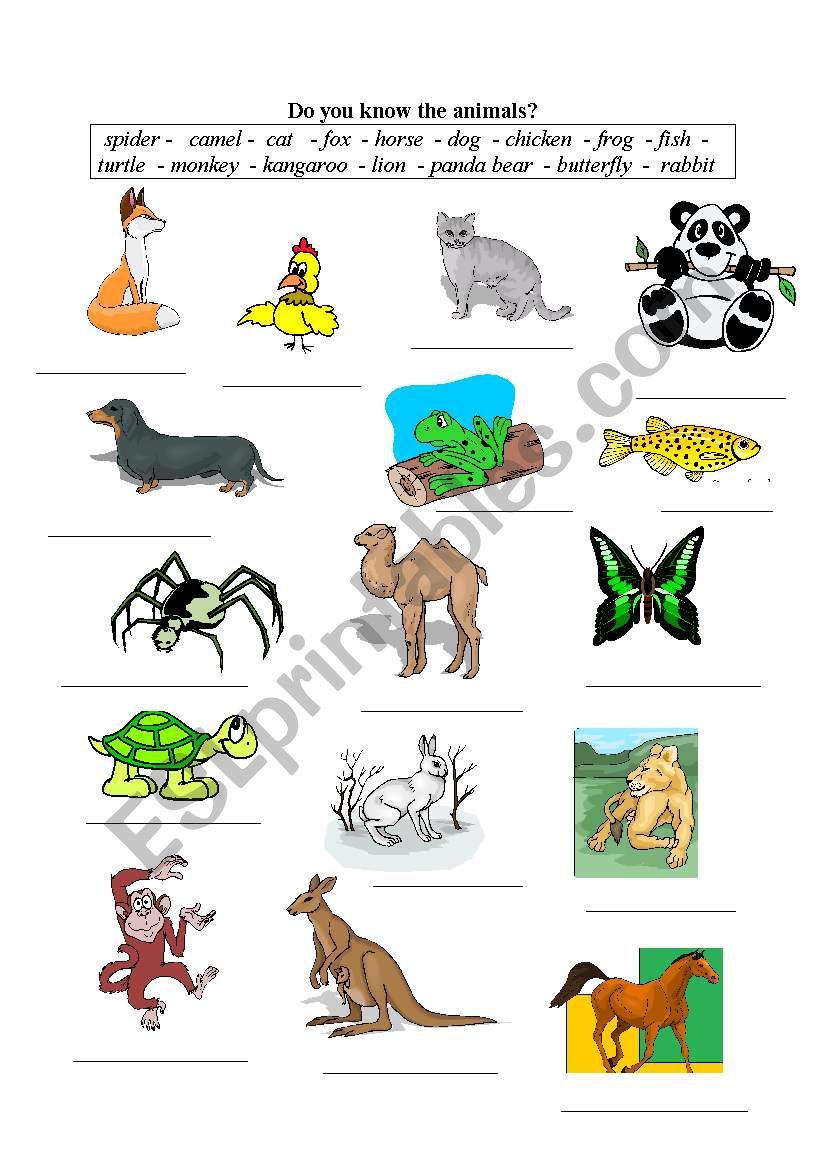 Do you know the animals? worksheet