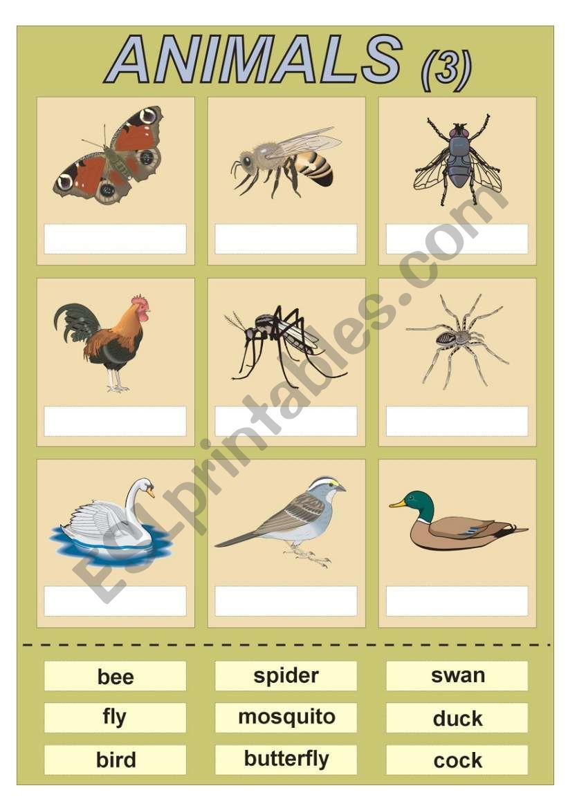 Animals (3) vocabulary for kids (cut and paste exercise)