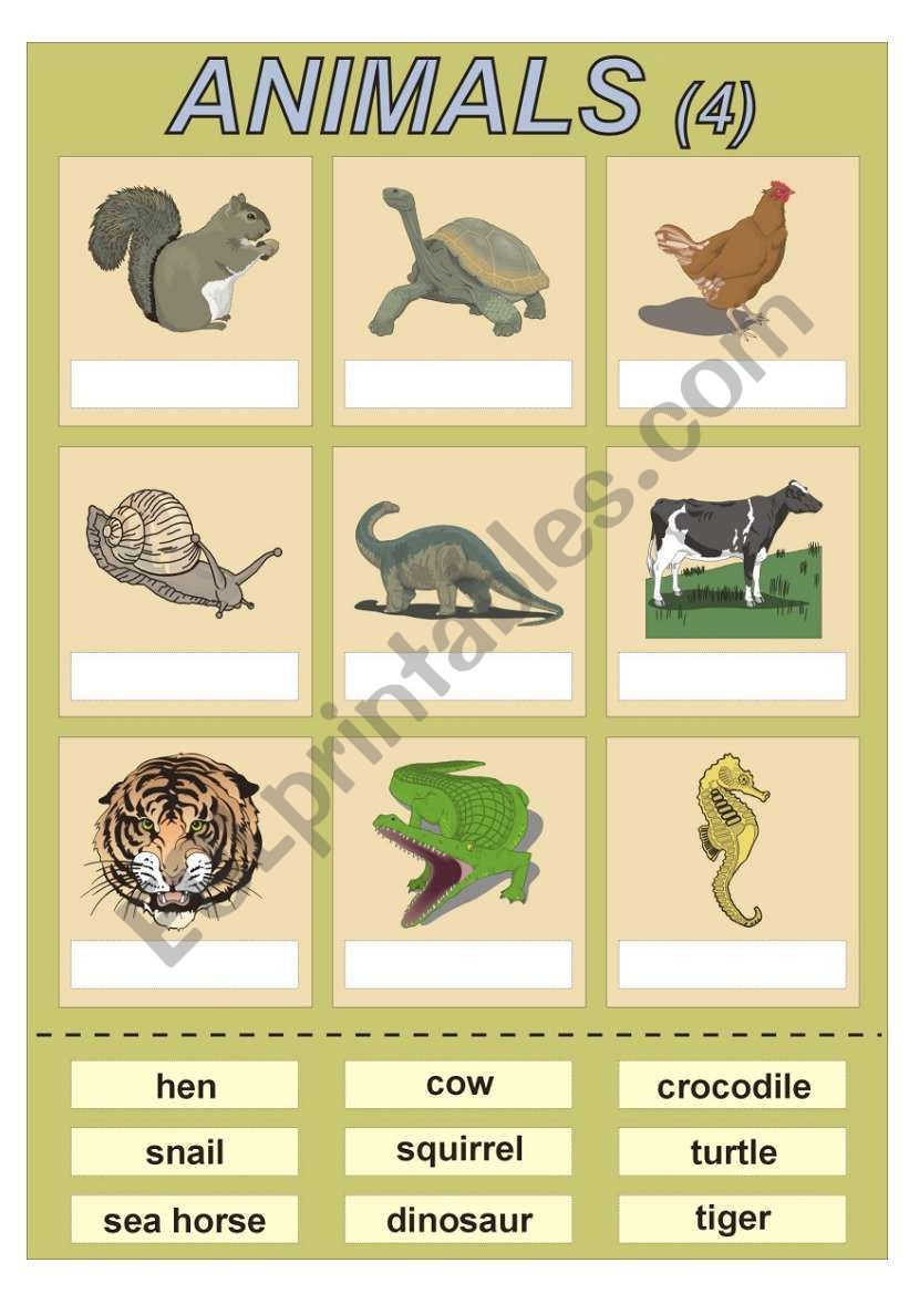 Animals (4) vocabulary for kids (cut and paste exercise)