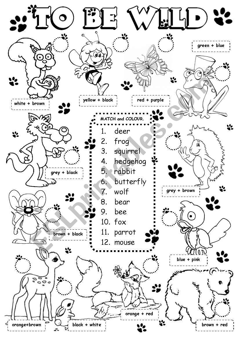 To be wild - animals (2/3) worksheet