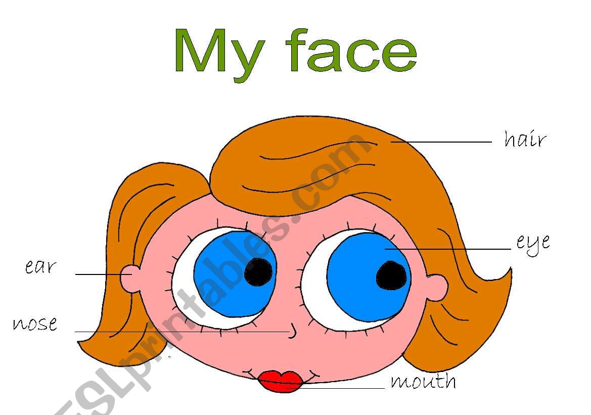 My face. worksheet