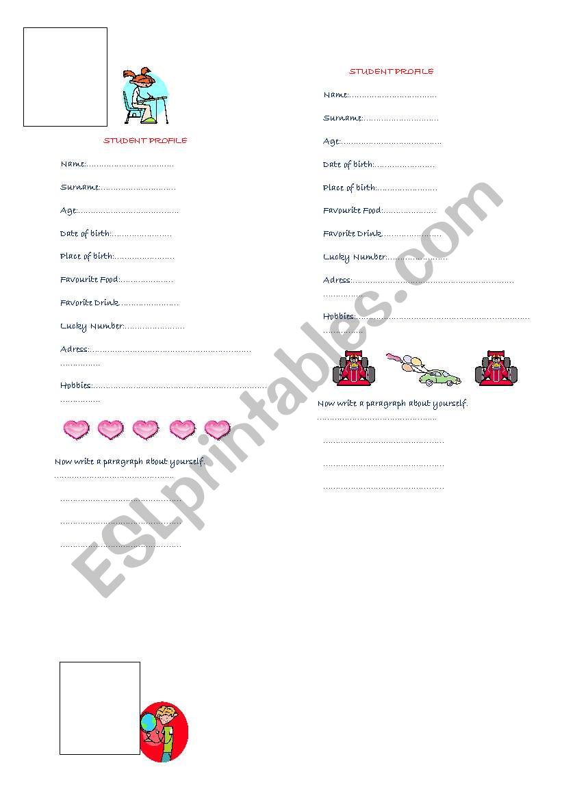 STUDENT PROFILE worksheet