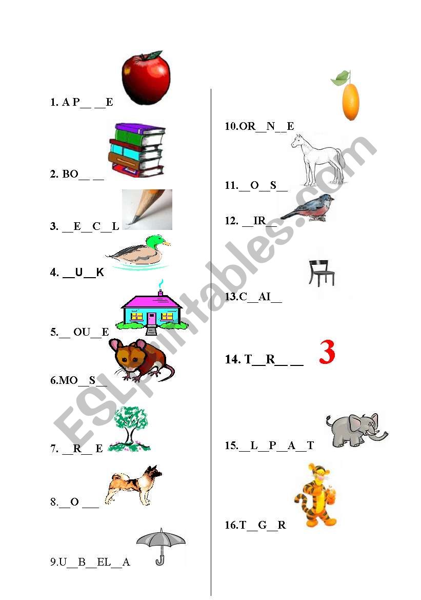 spelling worksheet