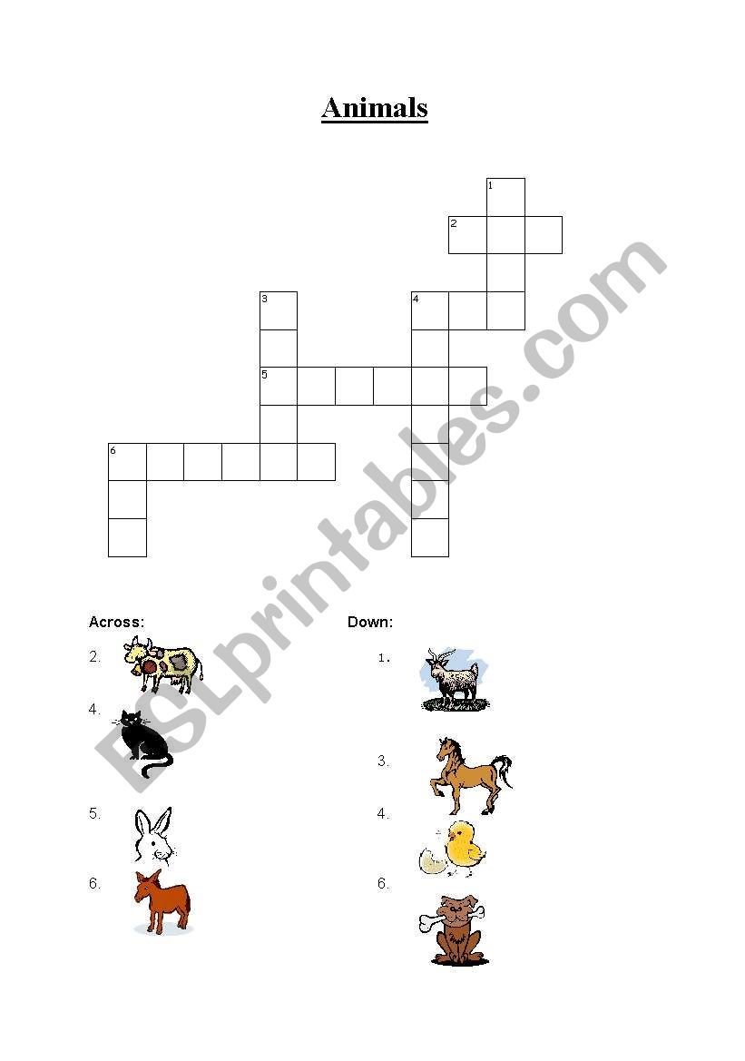 animals worksheet