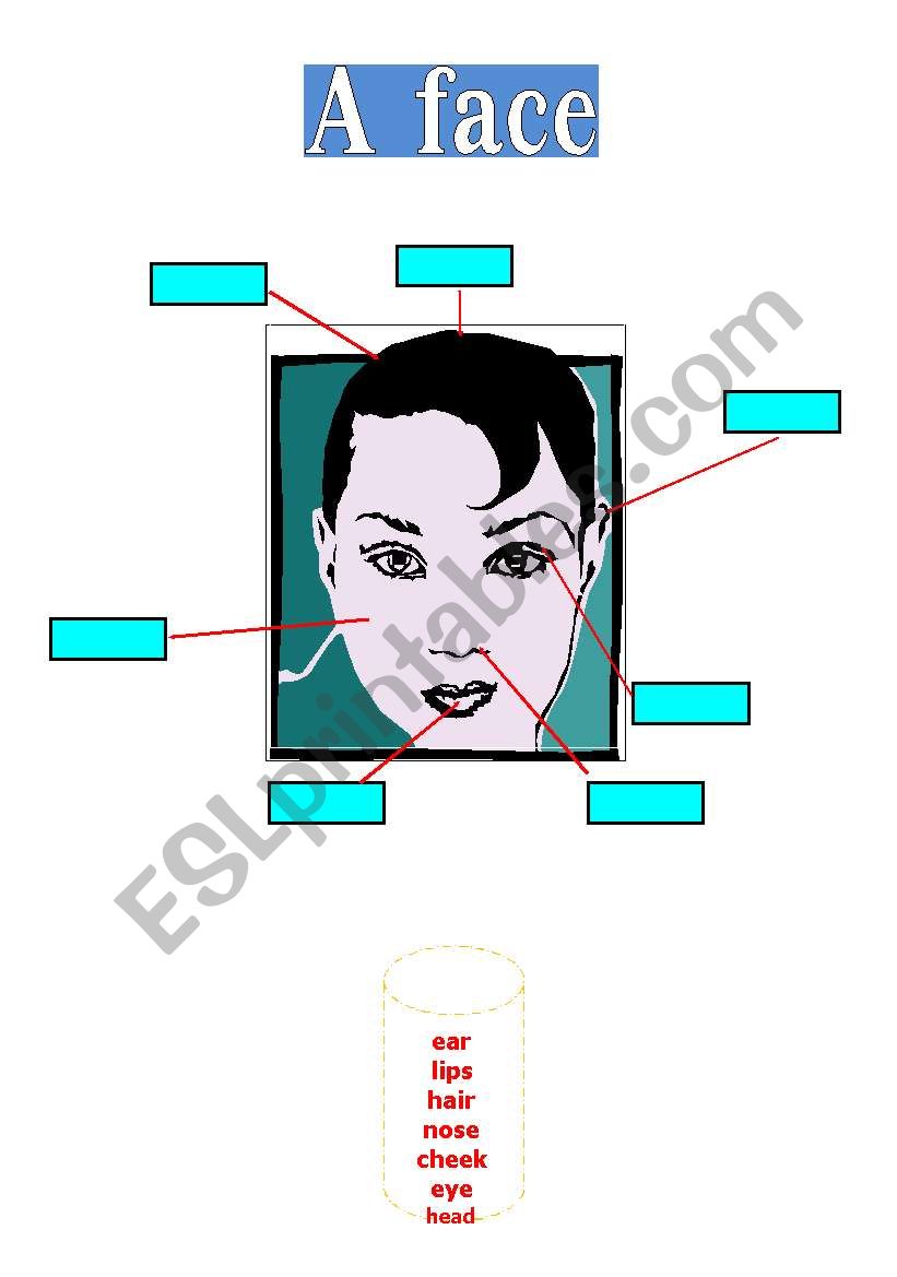 A Face worksheet