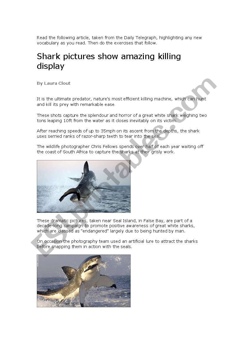 Great White Shark killing display
