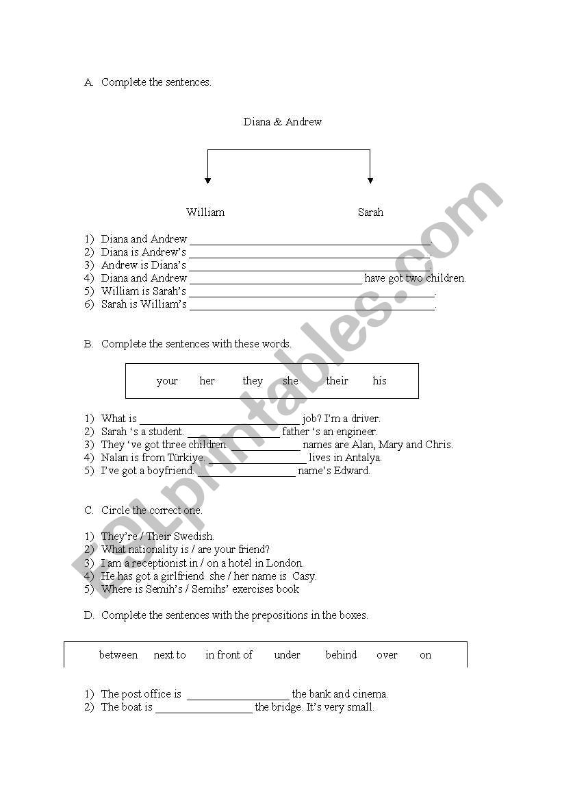 POSSESSVE worksheet